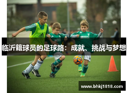 临沂籍球员的足球路：成就、挑战与梦想